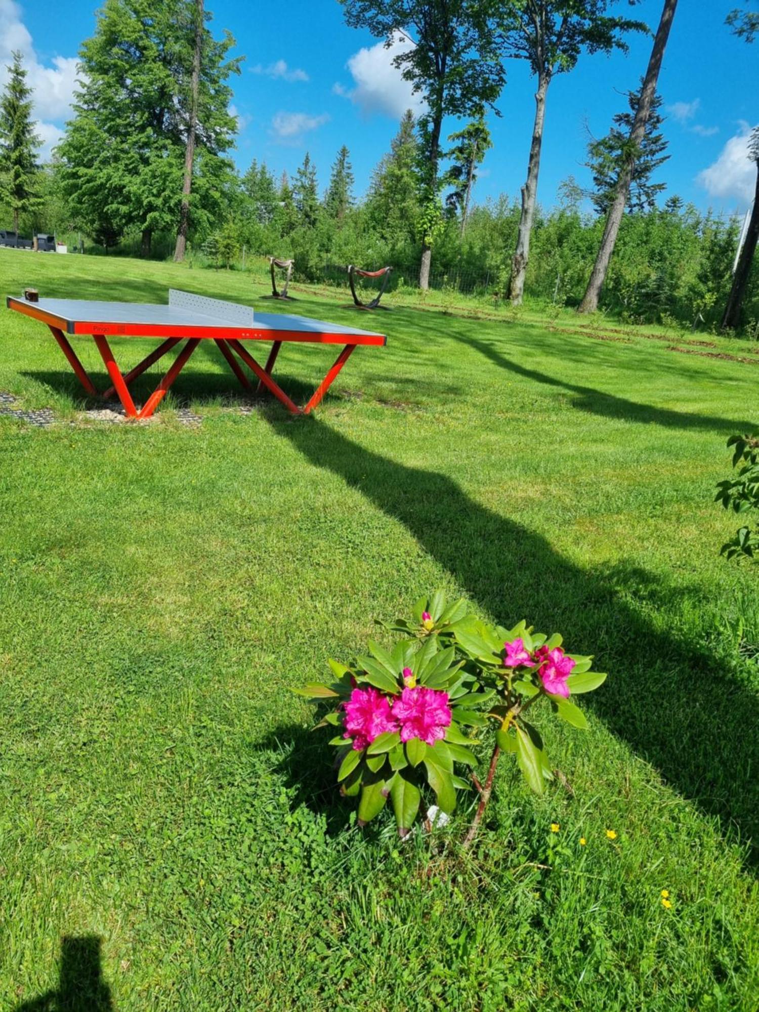 Bed and Breakfast Zakatek Pod Smrekami Косцелиско Экстерьер фото