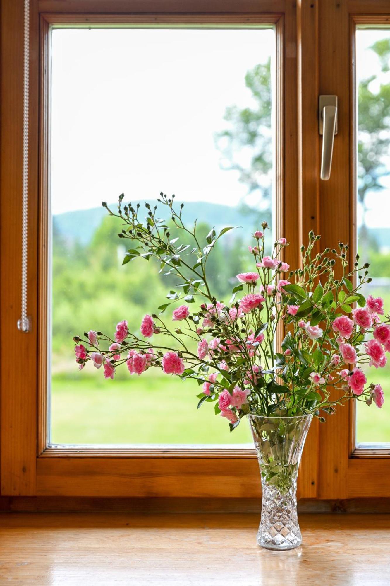 Bed and Breakfast Zakatek Pod Smrekami Косцелиско Экстерьер фото