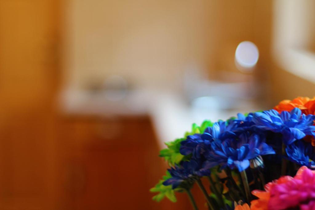 Bed and Breakfast Zakatek Pod Smrekami Косцелиско Номер фото